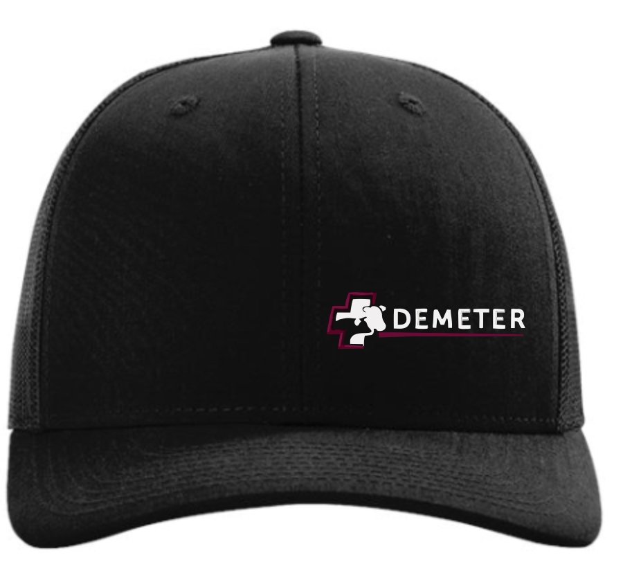 Richardson Adjustable Snapback Cap